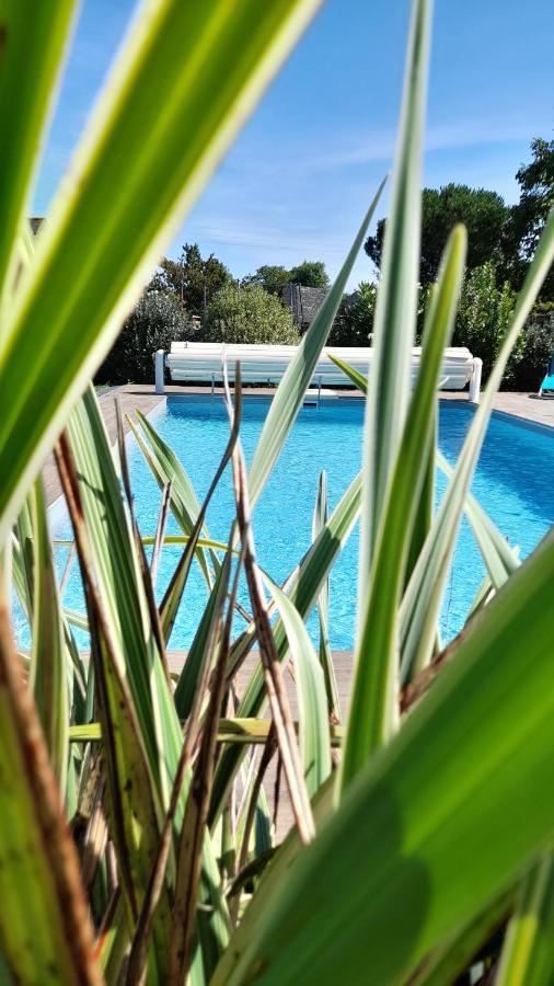 Chambre Dans Un Ecrin De Verdure Angrie Εξωτερικό φωτογραφία