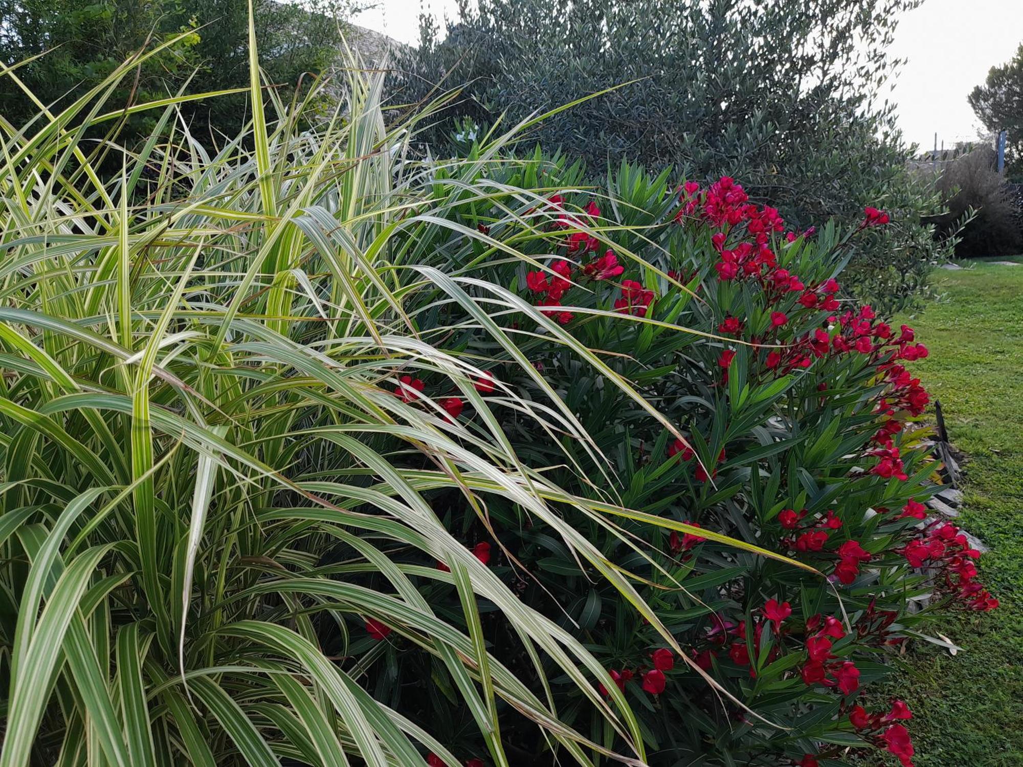 Chambre Dans Un Ecrin De Verdure Angrie Εξωτερικό φωτογραφία