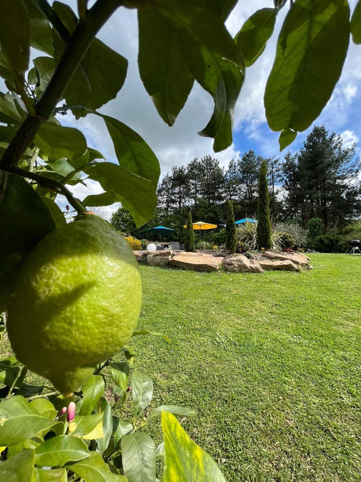 Chambre Dans Un Ecrin De Verdure Angrie Εξωτερικό φωτογραφία