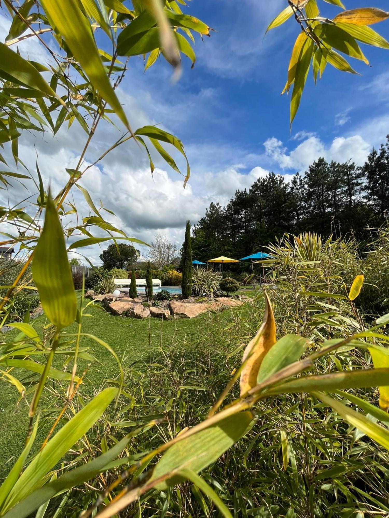 Chambre Dans Un Ecrin De Verdure Angrie Εξωτερικό φωτογραφία